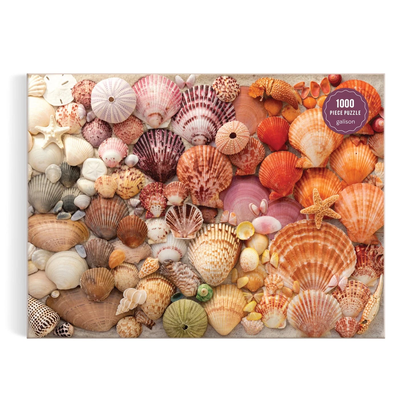 "Vibrant Seashells" Puzzle