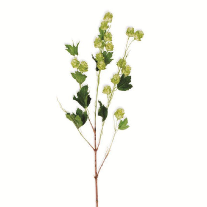 39" Green Hops Stem