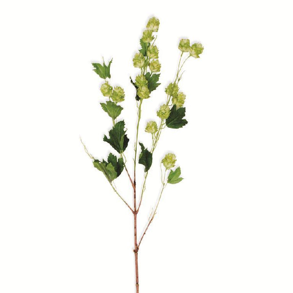 39" Green Hops Stem