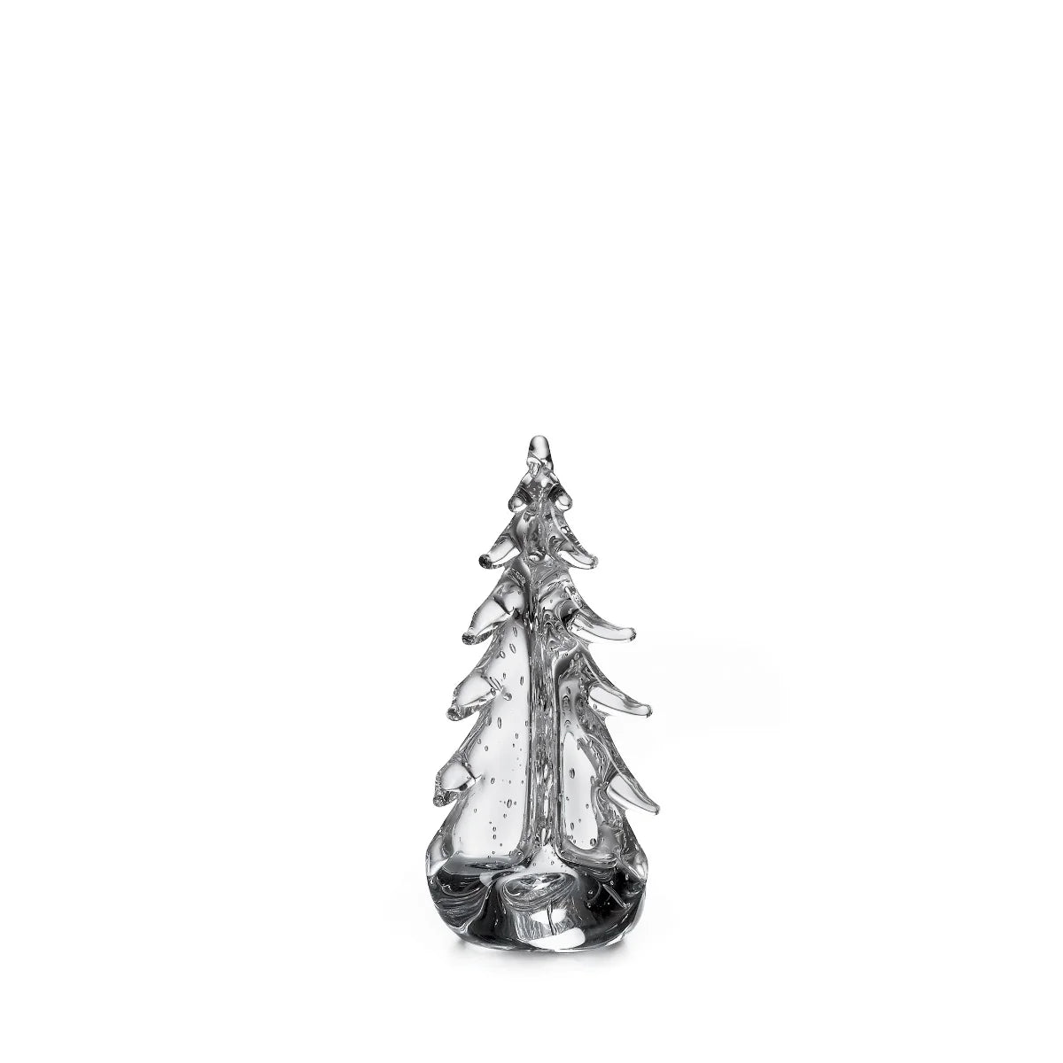 Bubble Evergreen in Gift Box - 8 Inch