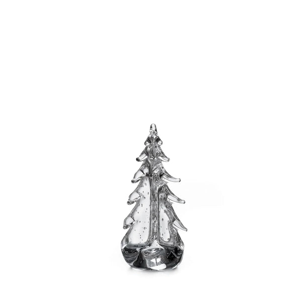 Bubble Evergreen in Gift Box - 8 Inch