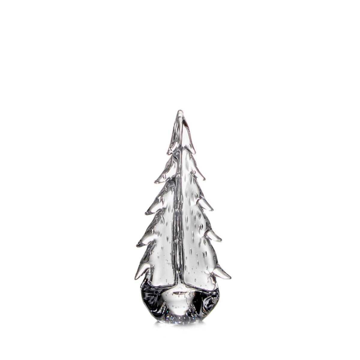 Bubble Evergreen in Gift Box - 12 Inch