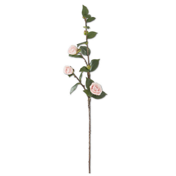 30" Pink Camellia Stem
