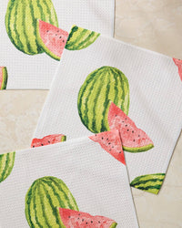 Melon Market Dishcloth Set