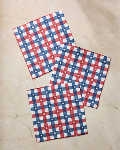 Bunting Check Dishcloth Set