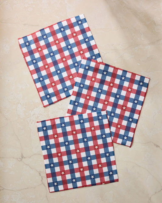 Bunting Check Dishcloth Set