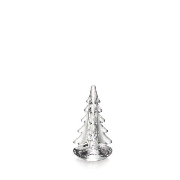 Vermont Evergreen in Gift Box - 4 Inch