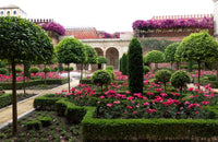 "Forever Green: A Celebration of Nature’s Most Prominent Color" Book