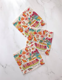 Greetings From Florida Dishcloth Set