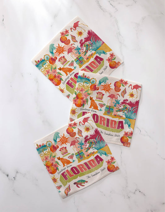Greetings From Florida Dishcloth Set