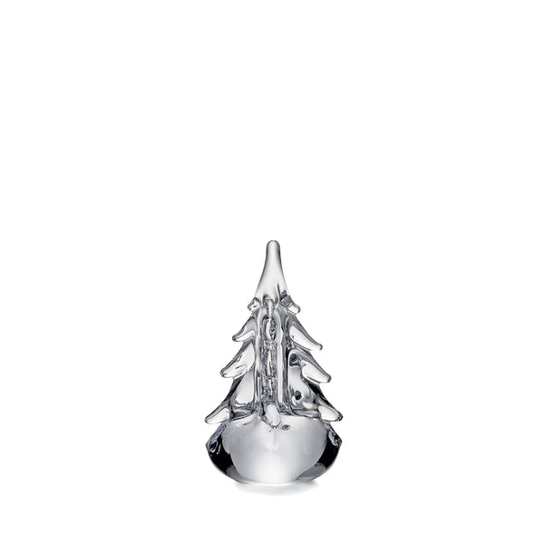 Five Sided Evergreen in Gift Box - 6 Inch