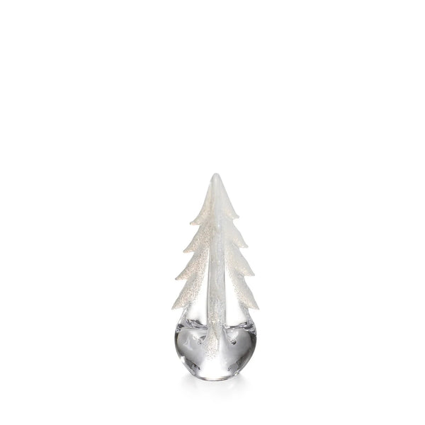 Snowy Branches Evergreen in Gift Box - 8 Inch