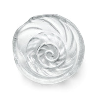 Shell Bowl in Gift Box - S