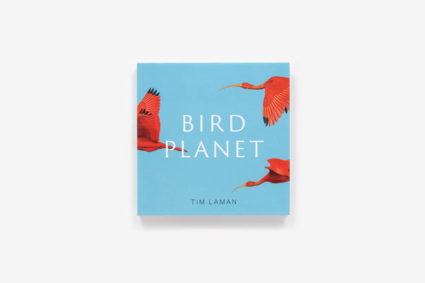 Bird Planet