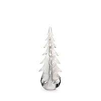 Snowdrift Evergreen in Gift Box - 14 Inch