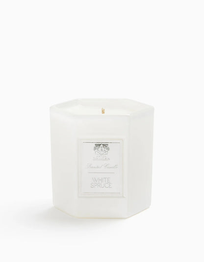 White Spruce Candle