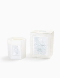 Lush Palm Candle