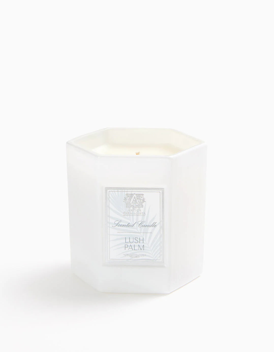 Lush Palm Candle