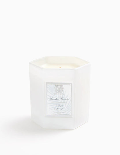 Lush Palm Candle