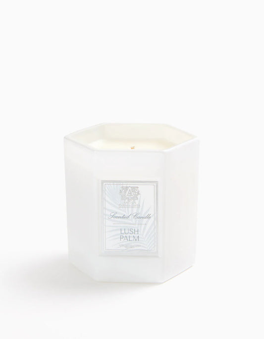 Lush Palm Candle