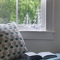 Bubble Evergreen in Gift Box - 12 Inch