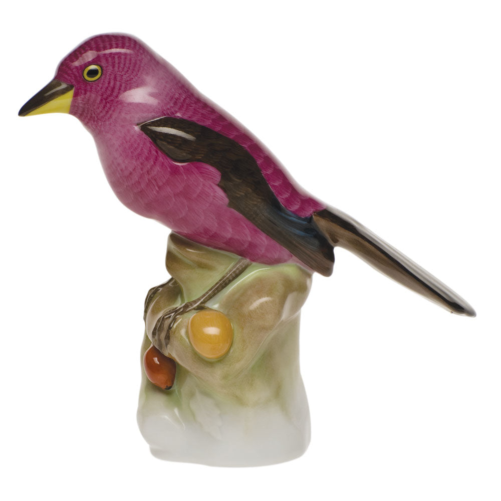 Cardinal — Natural