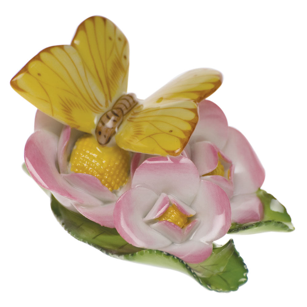 Butterfly On Flowers — Natural