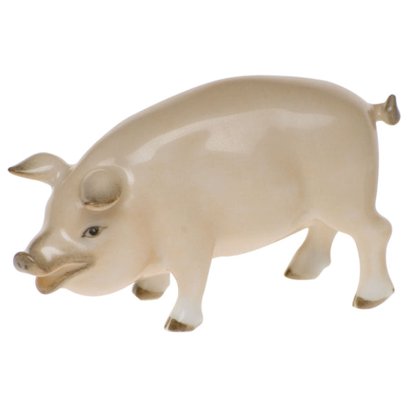 Pig