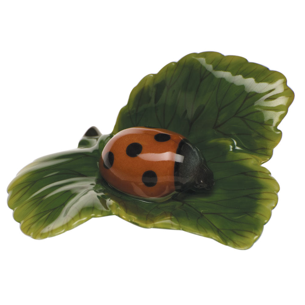 Ladybug — Natural