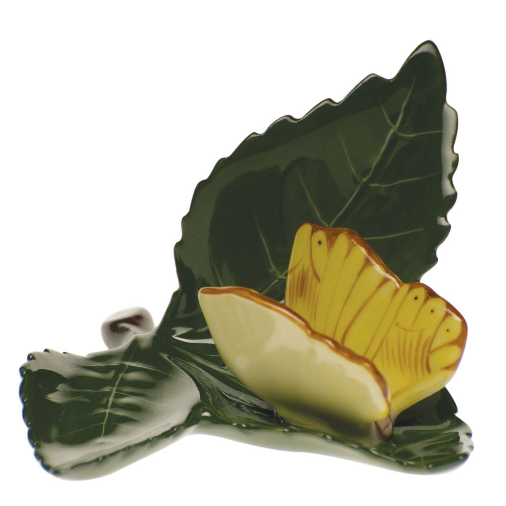 Butterfly On Leaf — Multicolor (C-Y)