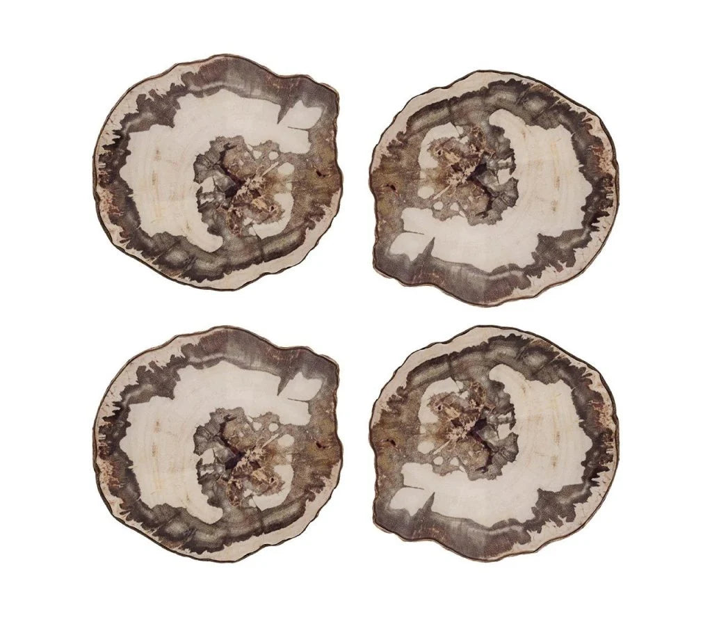 Petrified Wood Drink Coasters in Natural & Brown, Set of 4 in a Gift Box