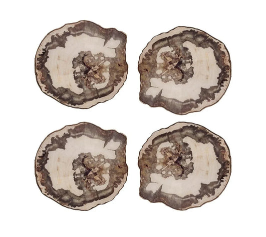 Petrified Wood Drink Coasters in Natural & Brown, Set of 4 in a Gift Box