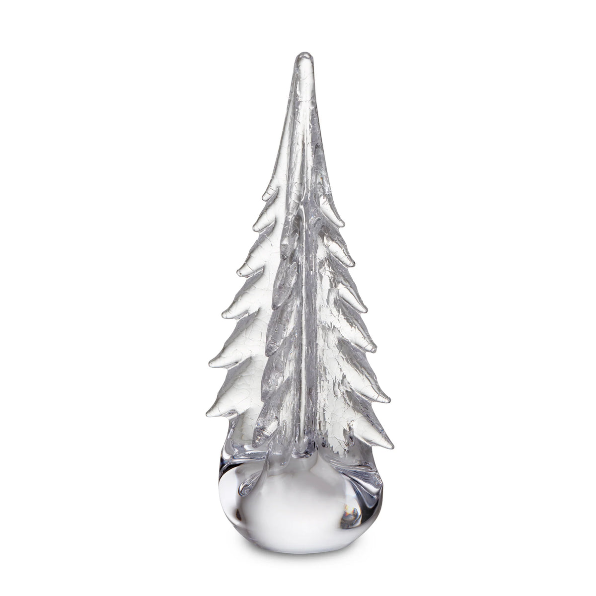 Crackle Four Sided Evergreen in Gift Box - 12 inch