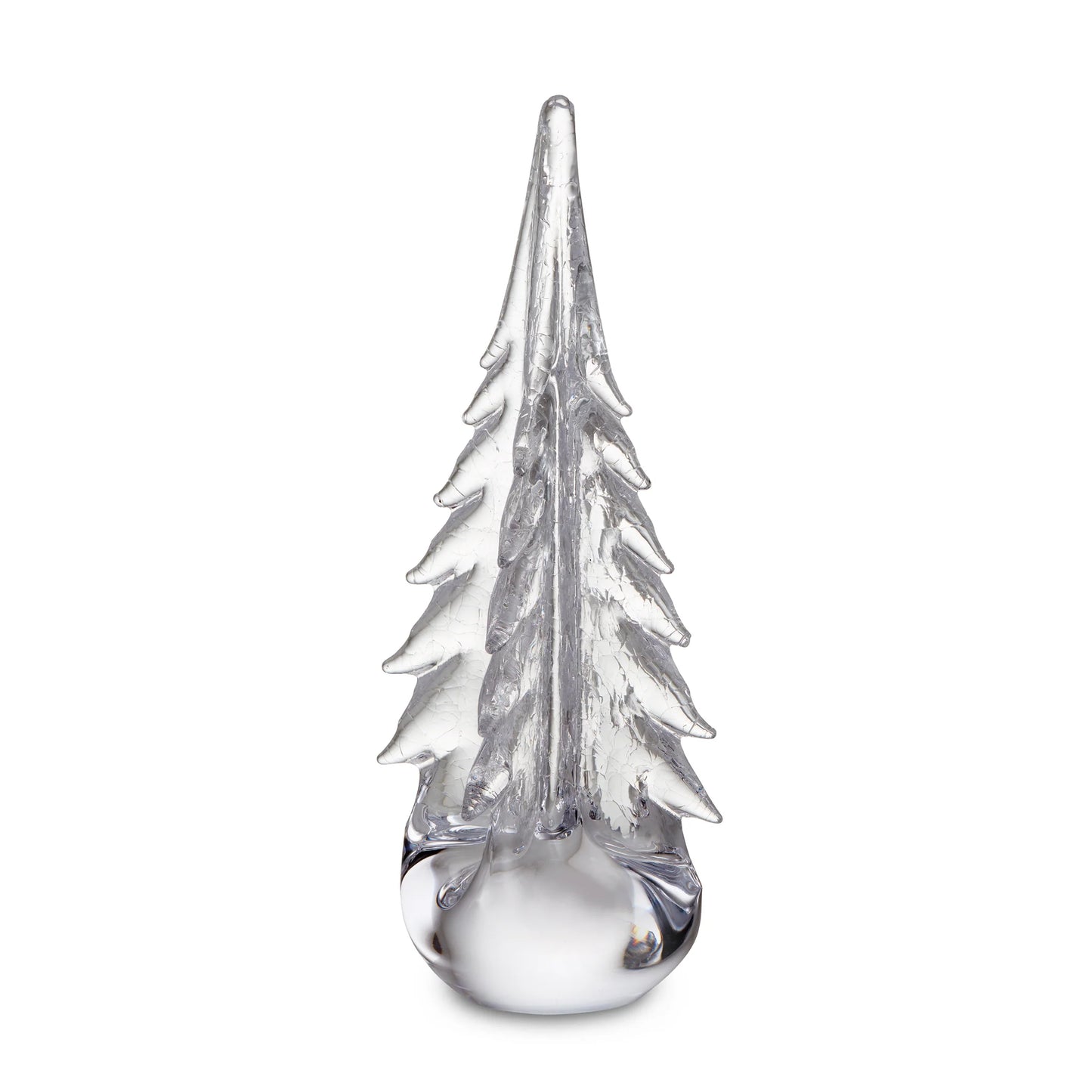 Crackle Four Sided Evergreen in Gift Box - 12 inch