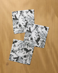 Rookery Dishcloth Set - Halloween 2026