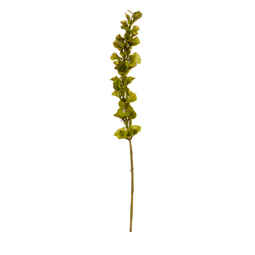 42" Bells of Ireland Stem