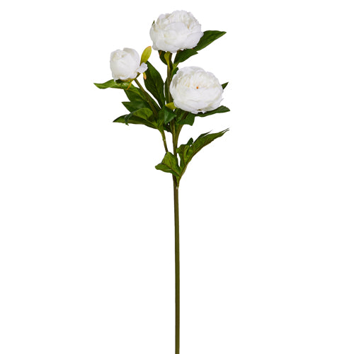 30" White Peony Spray