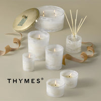 Frasier Fir Tidings Boxed Candle 13oz