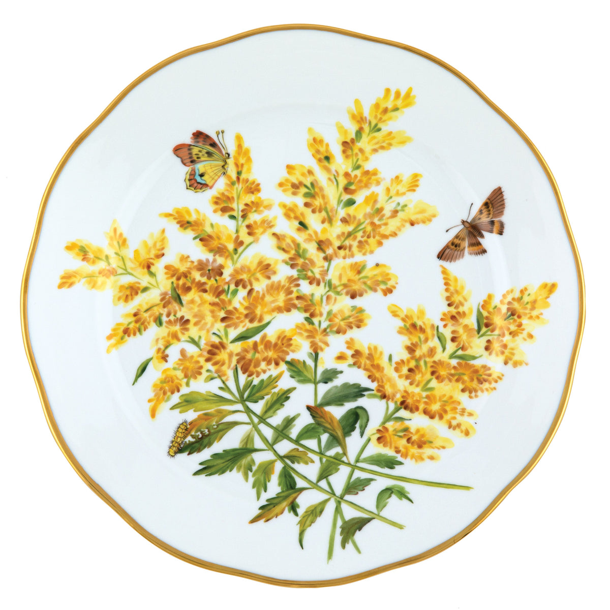 American Wildflowers Dinner Plate, Tall Goldenrod