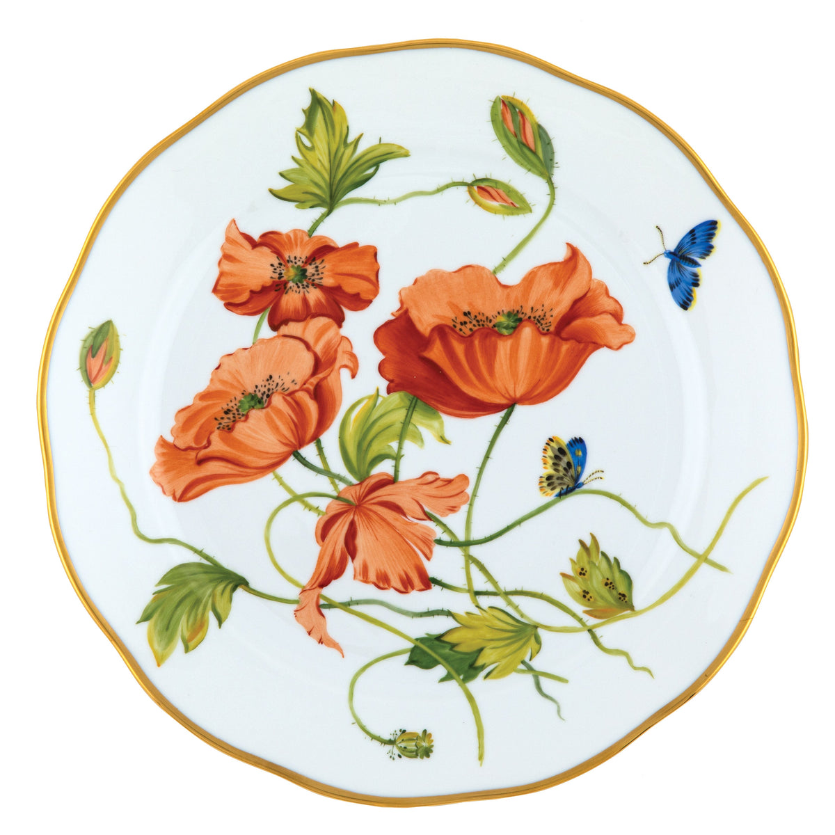 American Wildflowers Dinner Plate, California Poppy