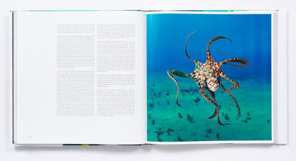"The Life & Love of The Sea" by Lewis Blackwell