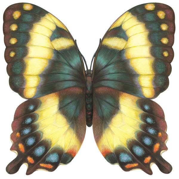 Die-cut Butterfly Placemat - 12 Sheets