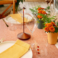 Pina Pro Table Lamp