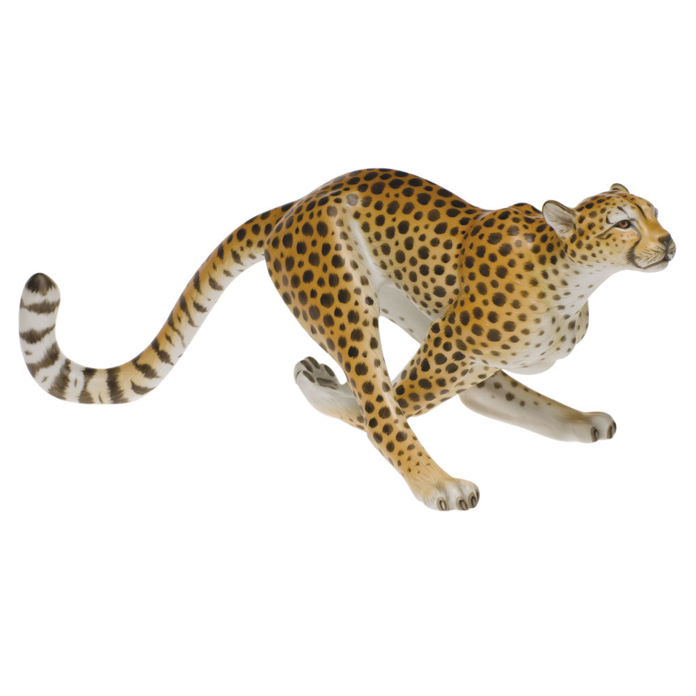 Cheetah — Natural