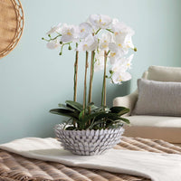 Napa Home & Garden Serena Decorative Bowl