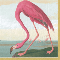 Audubon Birds Napkin