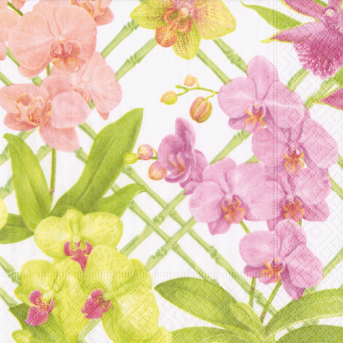 Orchid Conservatory Napkin