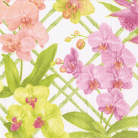 Orchid Conservatory Napkin