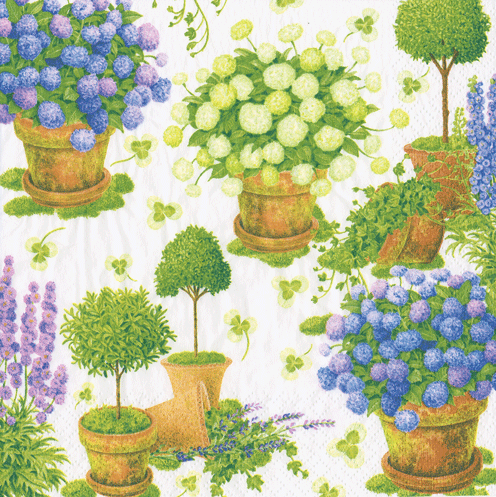 Potted Hydrangeas Napkin