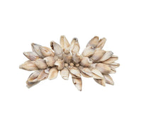Shell Fringe Napkin Ring in Ivory & Brown